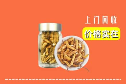 丹东振安区回收散虫草