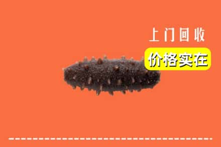 丹东振安区回收海参